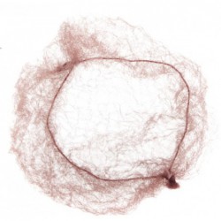 Tinklelis plaukams Sibel Bun Net, SIB115263346, light brown, 2 vnt.