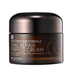 Veido kremas Mizon Snail Repair Perfect Cream MIZ000005490, su sraigių mucinu, atstatantis veido odą, 50 ml